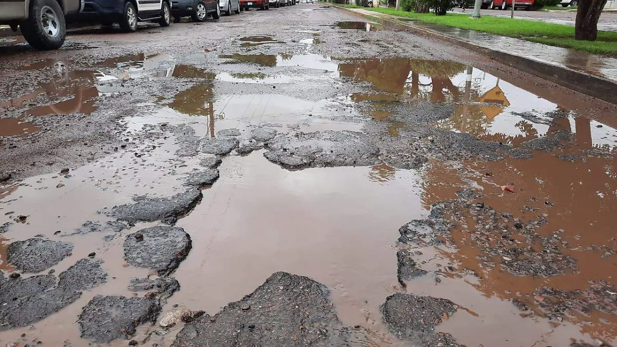 WhatsApp Image 2021-10-14 at 10.16.01 AM