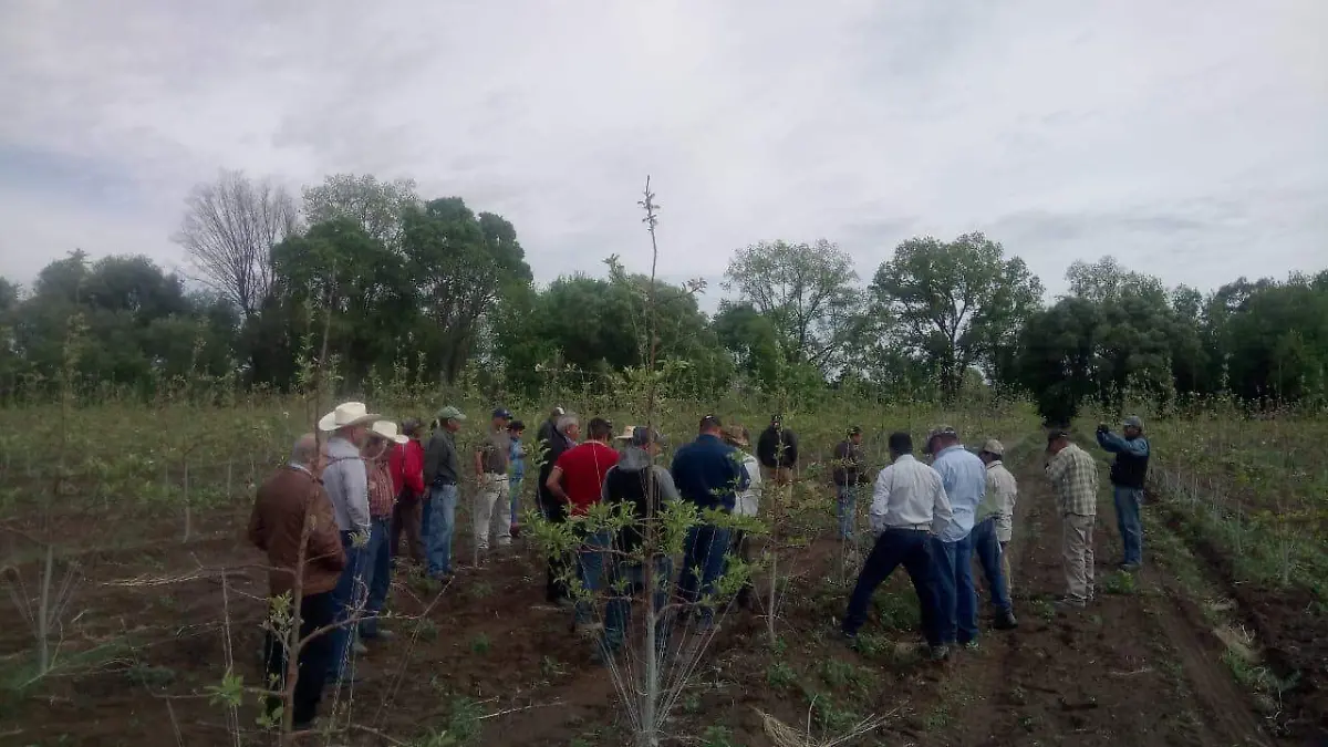 con visita a huertas (1)