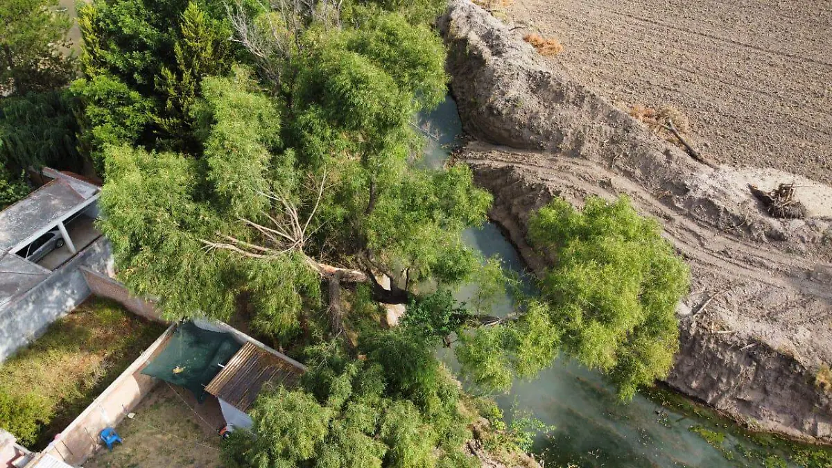 Árbol cae sobre una vivienda en Canatlán; reportan daños materiales
