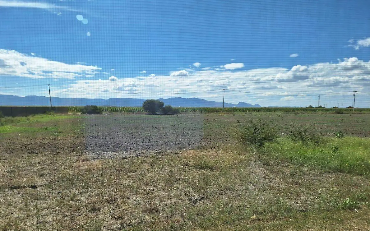 Sequía azota el campo duranguense