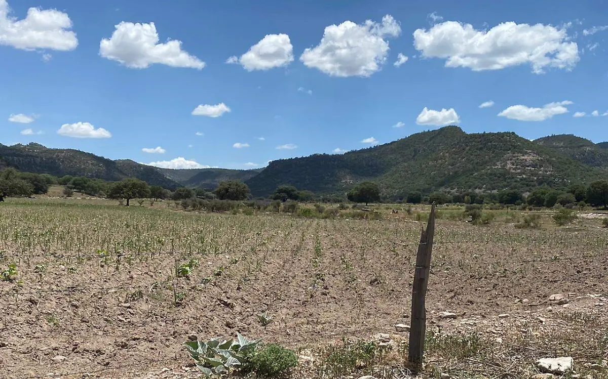 Familias del campo sobreviven con las remesas