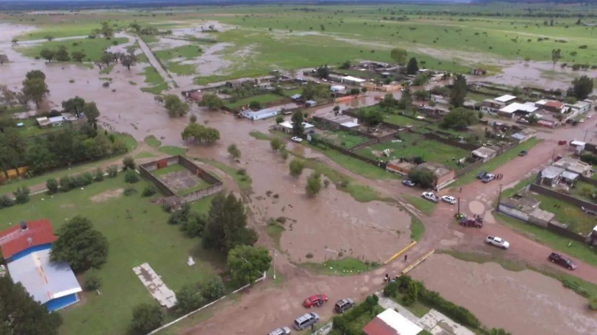 WhatsApp Image 2020-09-14 at 7.06.39 AM