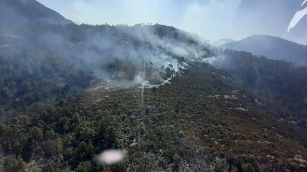 Avanza incendio forestal en Nuevo Ideal