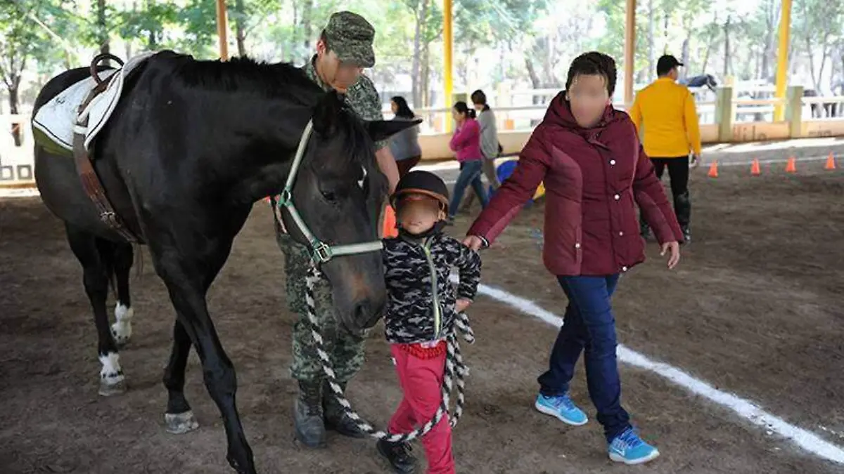 Equinoterapia