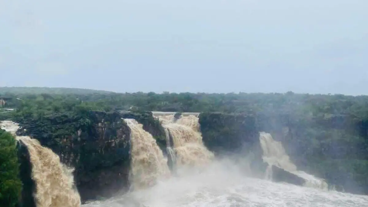 WhatsApp Image 2020-07-29 at 1.46.32 PM