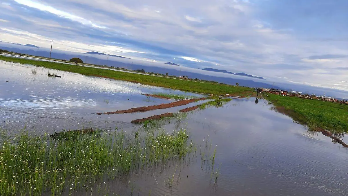 WhatsApp Image 2020-07-30 at 11.14.59 AM