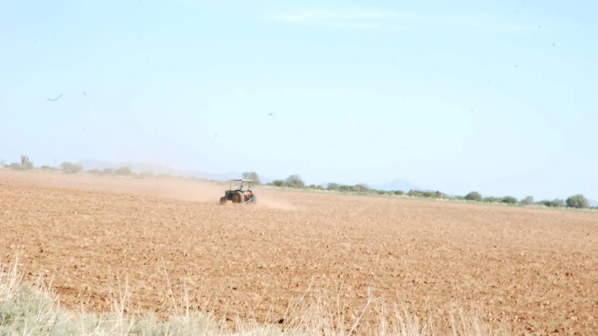 Sector agrícola califica al 2023 como catastrófico