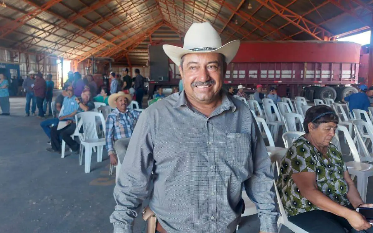 Cuauhtémoc tiene el 80% en tierras de temporal ya sembradas