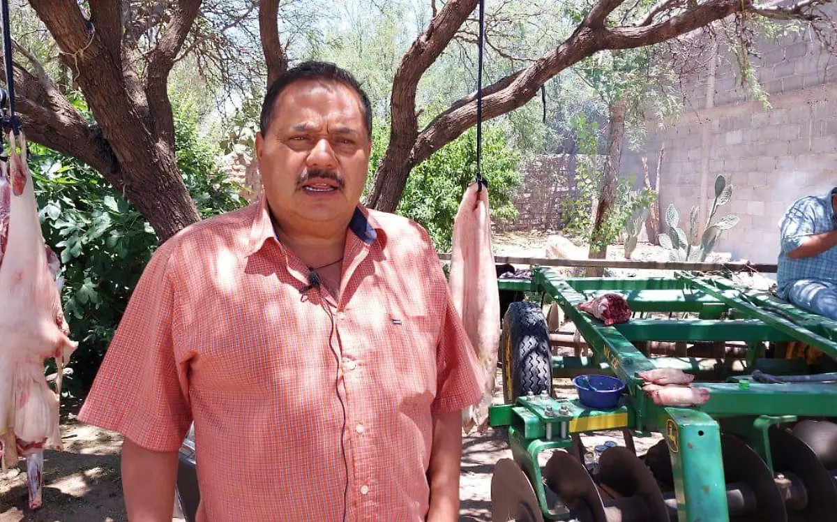 WhatsApp Image 2023-05-14 at 14.54.52