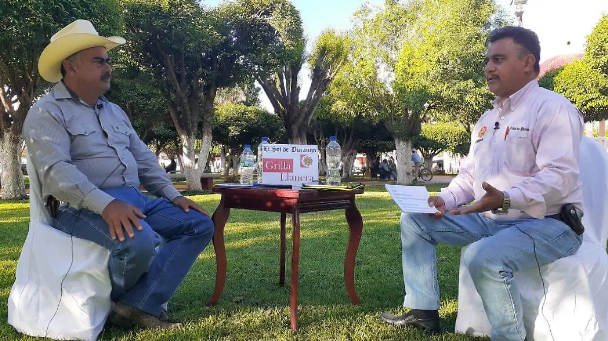 Grilla llanera