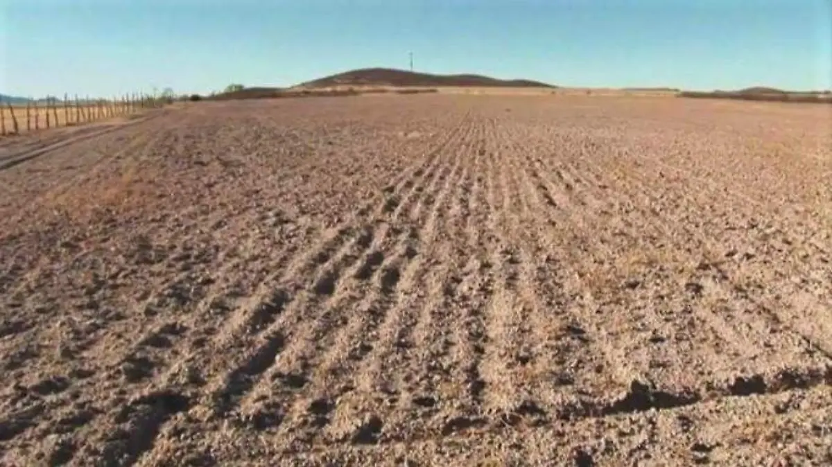 Campo abandonado