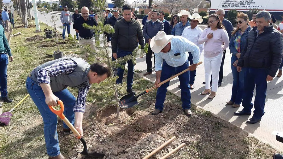 plantación
