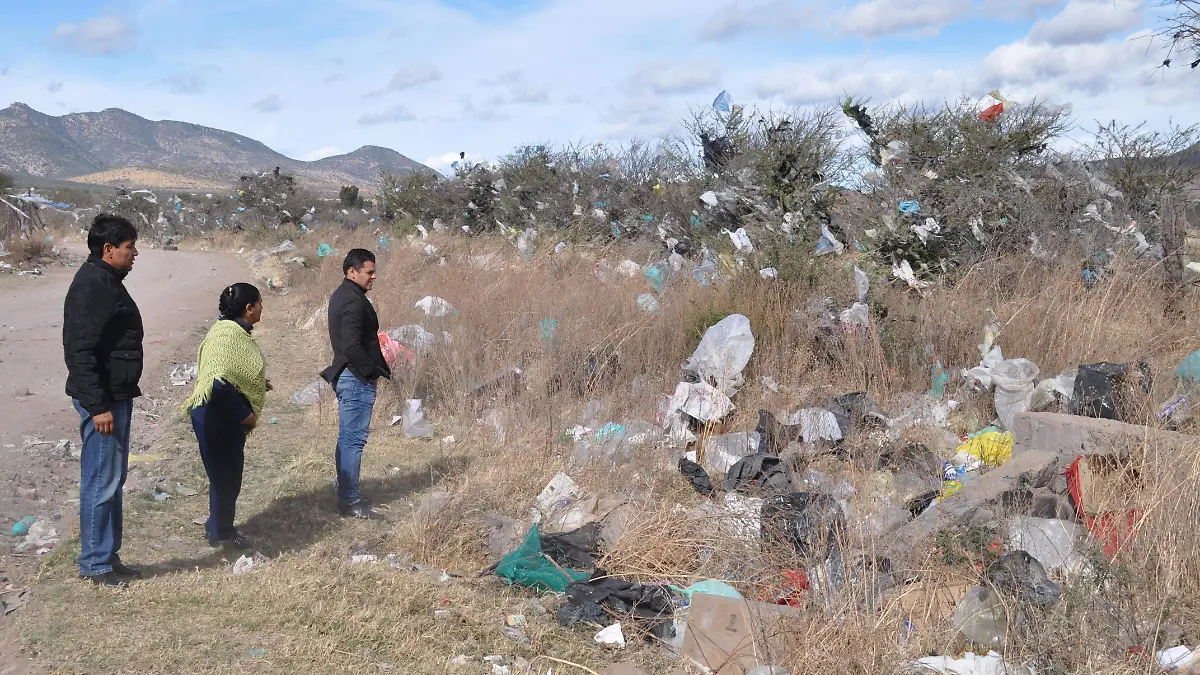 Se busca encontrar solución al grave problema
