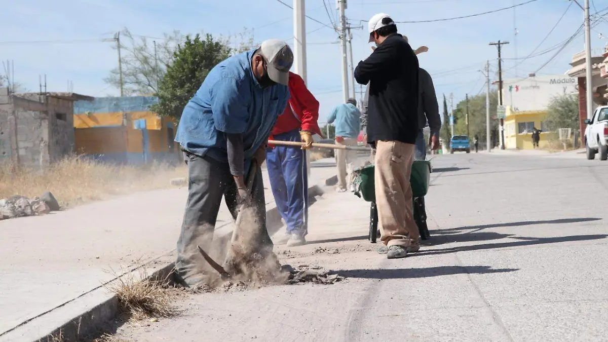 WhatsApp Image 2020-11-19 at 2.08.25 PM