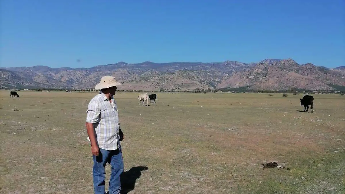 Piden se implemente programa emergente para el campo