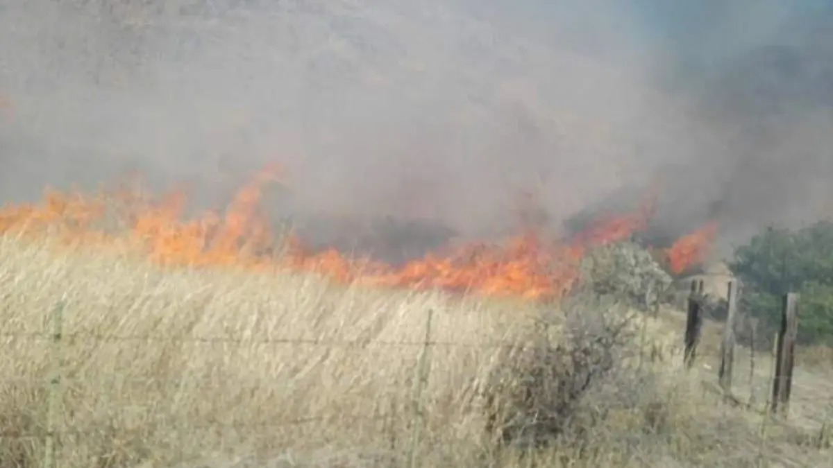 Un incendio de pastizal