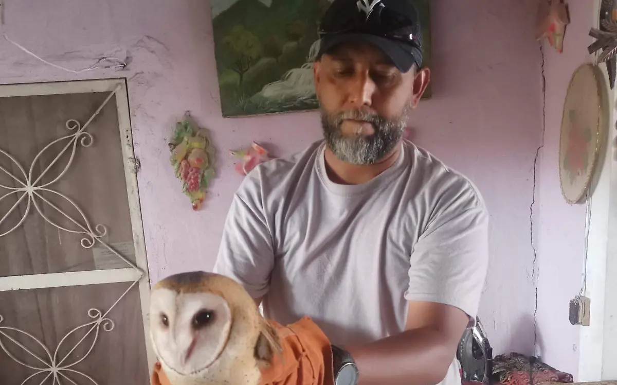 Rescatan a lechuza herida en ejido El Rayo, Lerdo