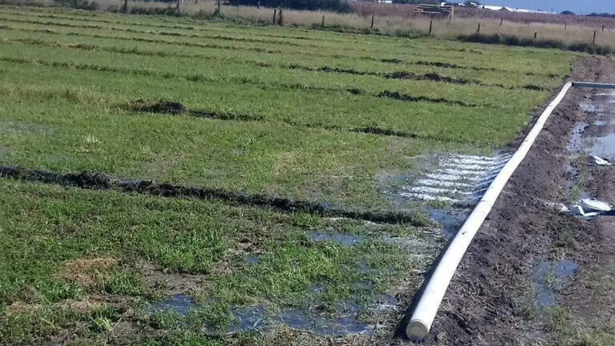 Existe una sobreexplotación en el acuífero Valle de Santiaguillo: Jorge Nevárez