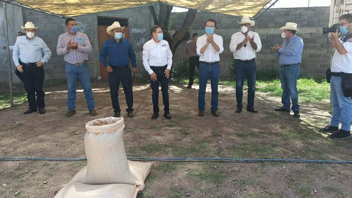 WhatsApp Image 2020-07-28 at 10.19.53 AM