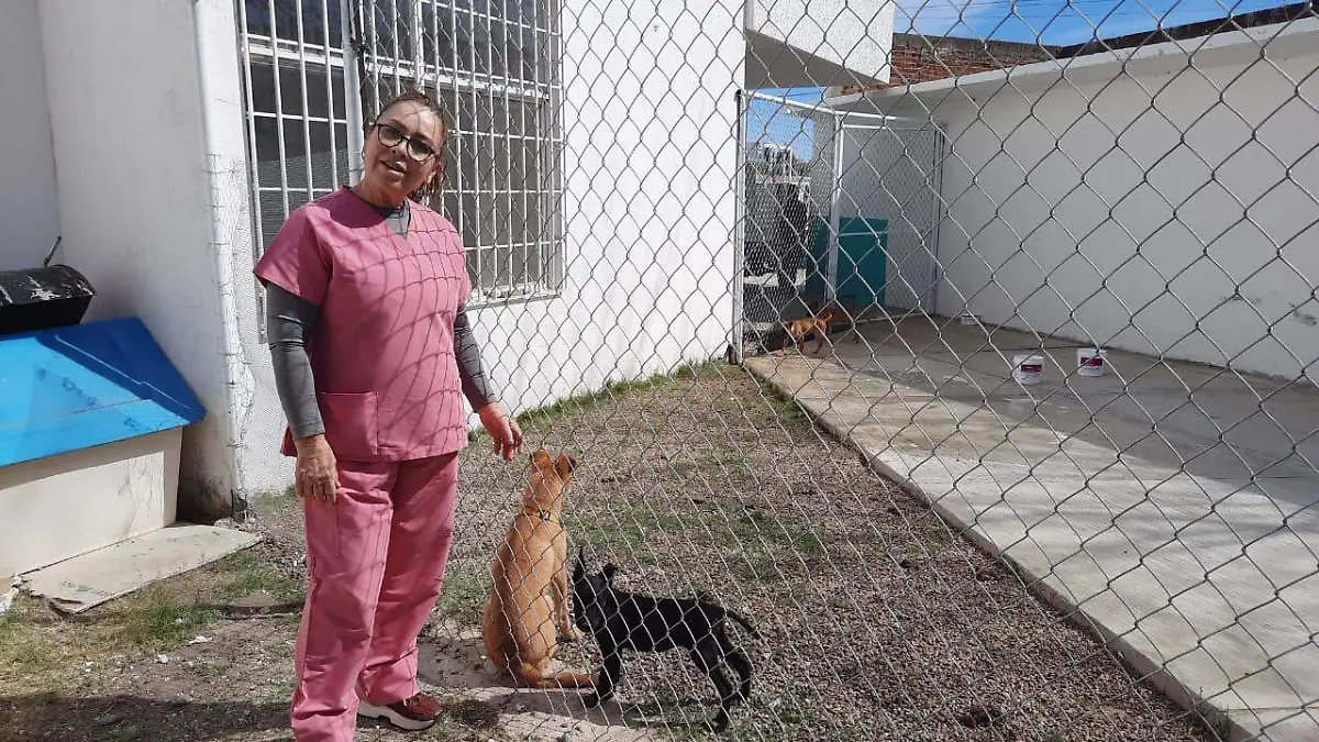 Instalan centro de control animal en Canatlán