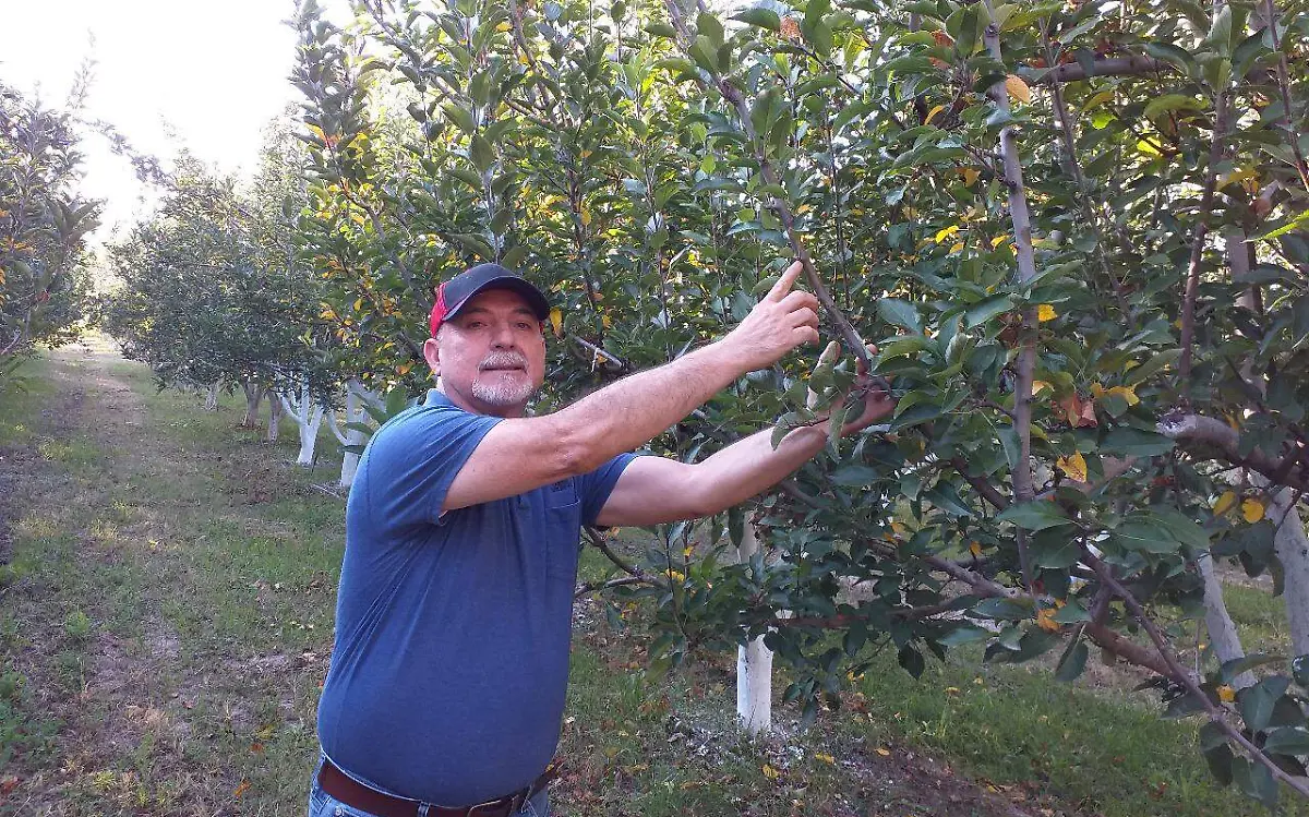 WhatsApp Image 2020-10-15 at 06.36.09