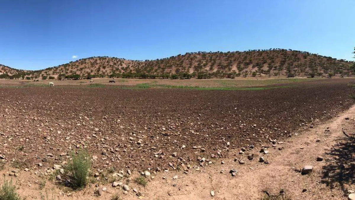 Coneto de Comonfort con grave problema de sequía