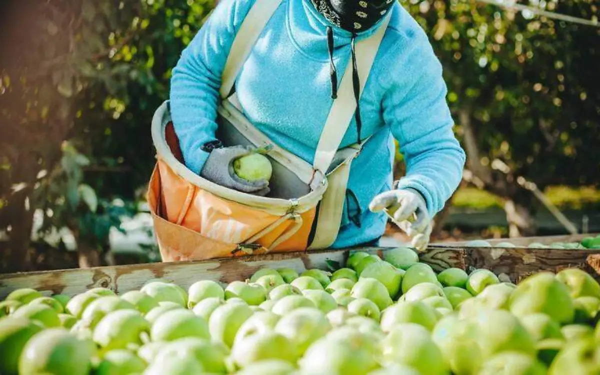Manzanas