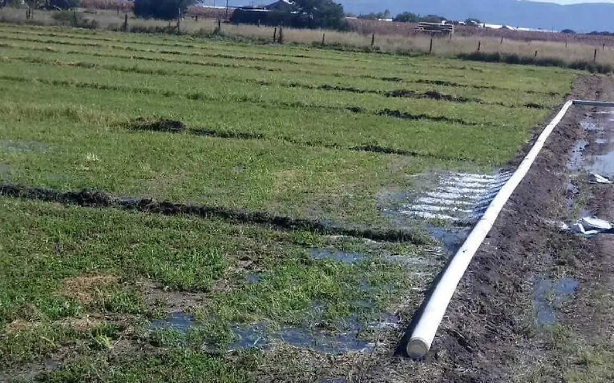 Desabasto de agua potable azota a Nuevo Ideal, Durango