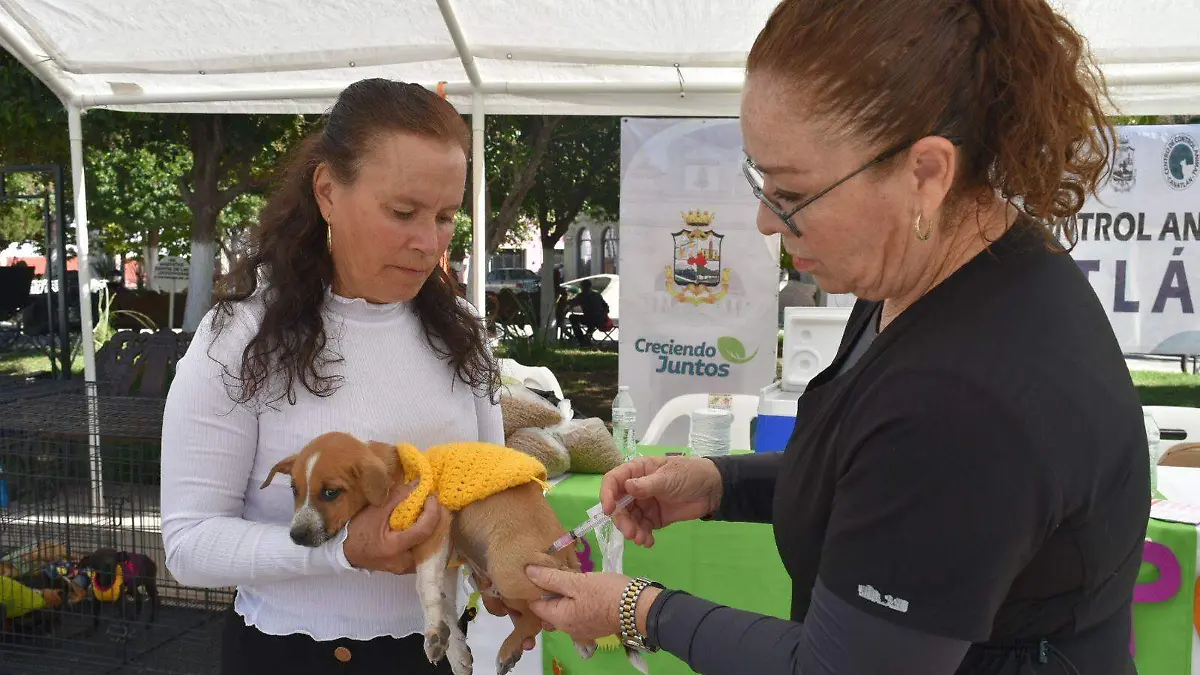 WhatsApp Image 2023-11-06 at 6.33.52 PM (1)