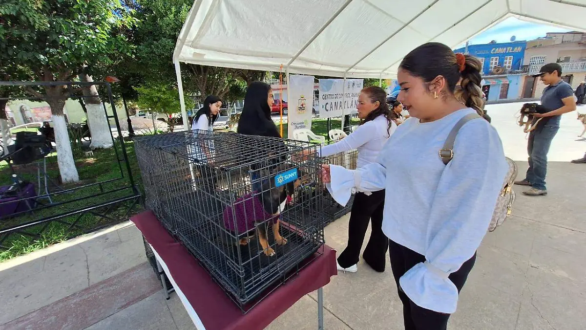 Realizan tercera Feria de la Adopción canina en Canatlán