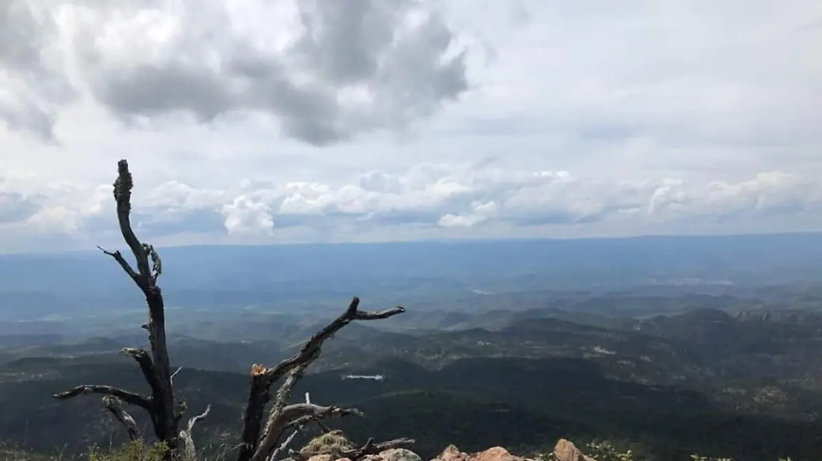 La ruta Tepehuanes