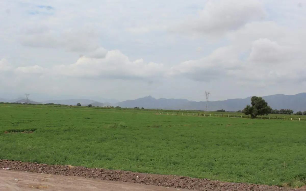 Campo Durango