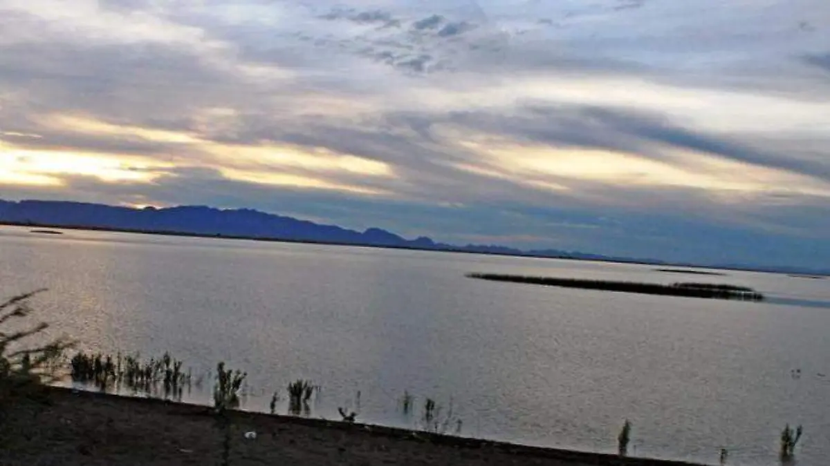Laguna de Santiaguillo es un importante Humedal que está considerado internacionalmente como sitio Ramsar