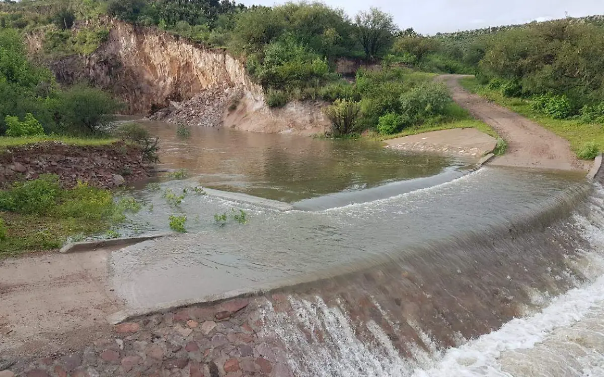 WhatsApp Image 2022-08-31 at 1.16.57 PM