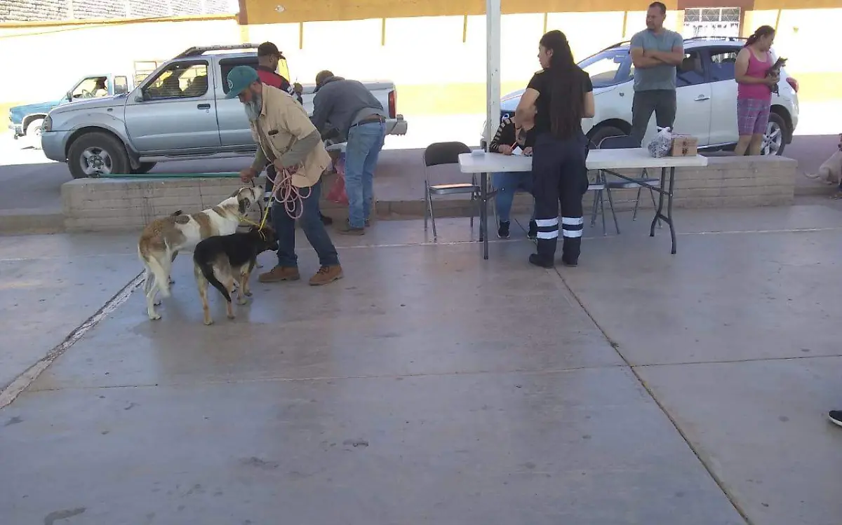 Con éxito avanza vacunación antirrábica en Poanas