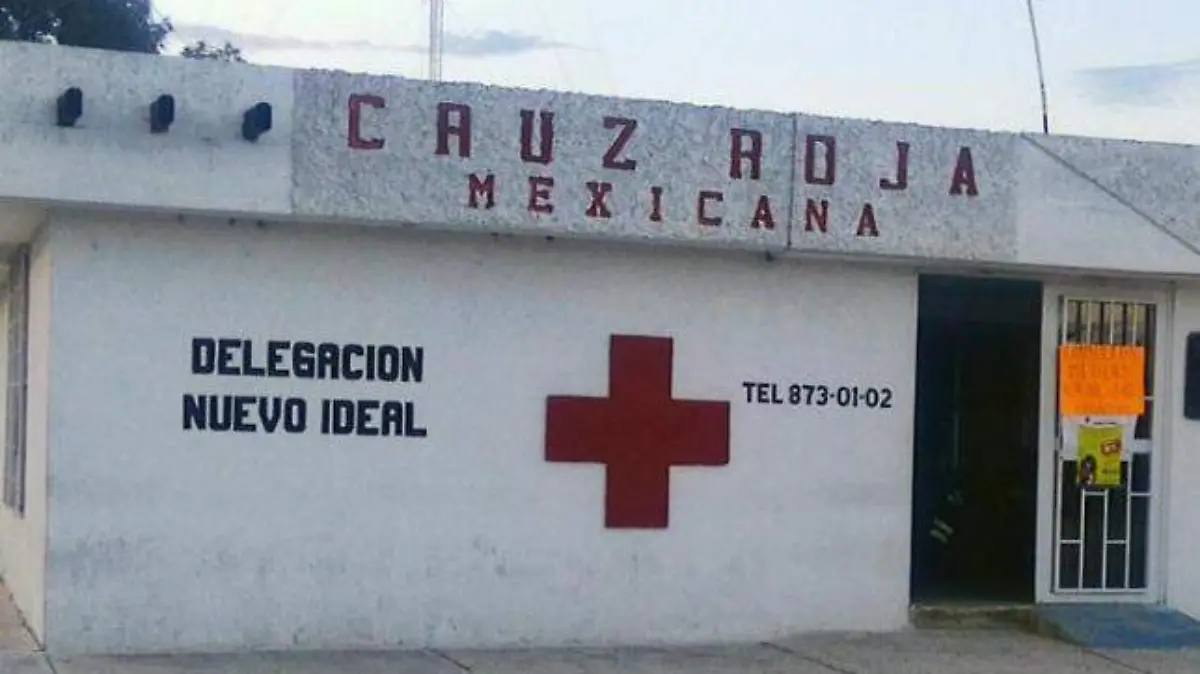 WhatsApp Image 2020-05-08 at 13.55.24