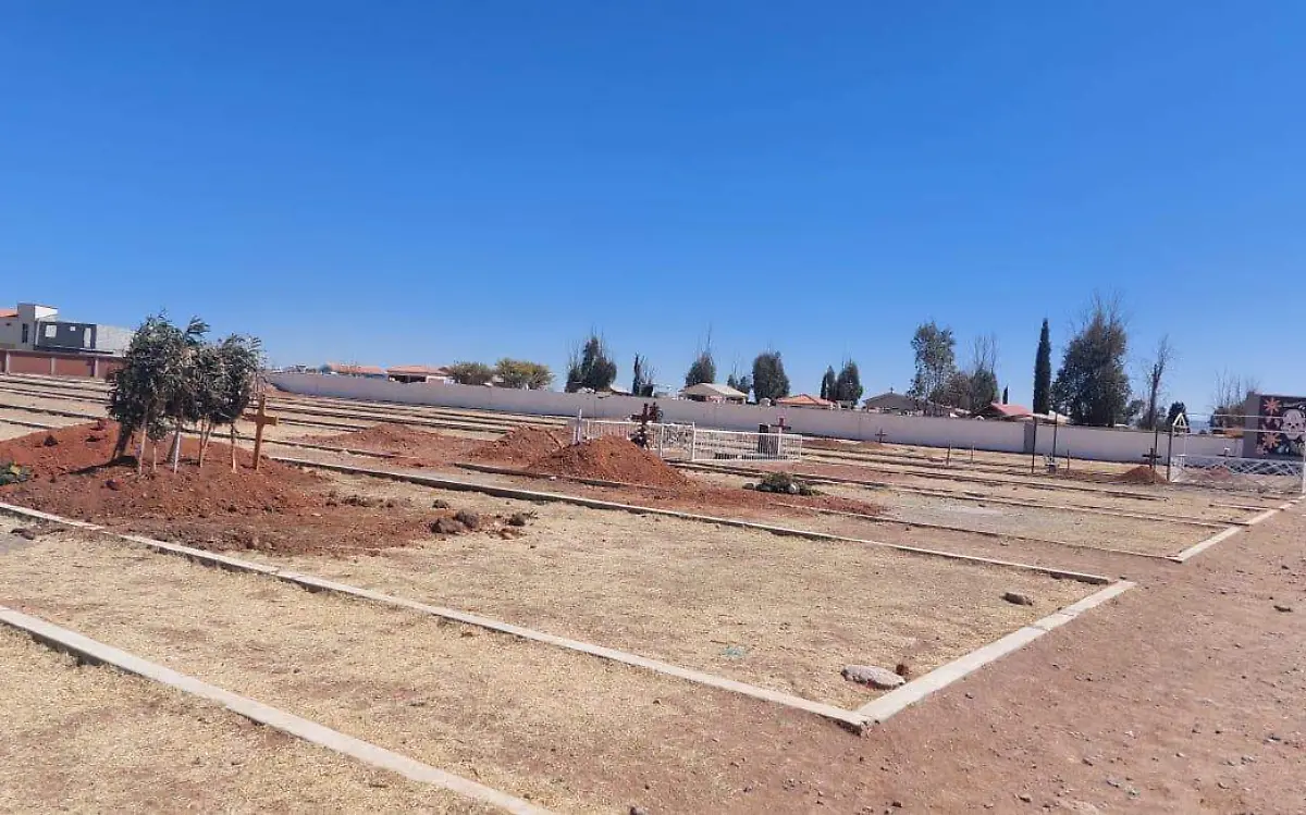 WhatsApp Image 2023-03-14 at 12.26.05