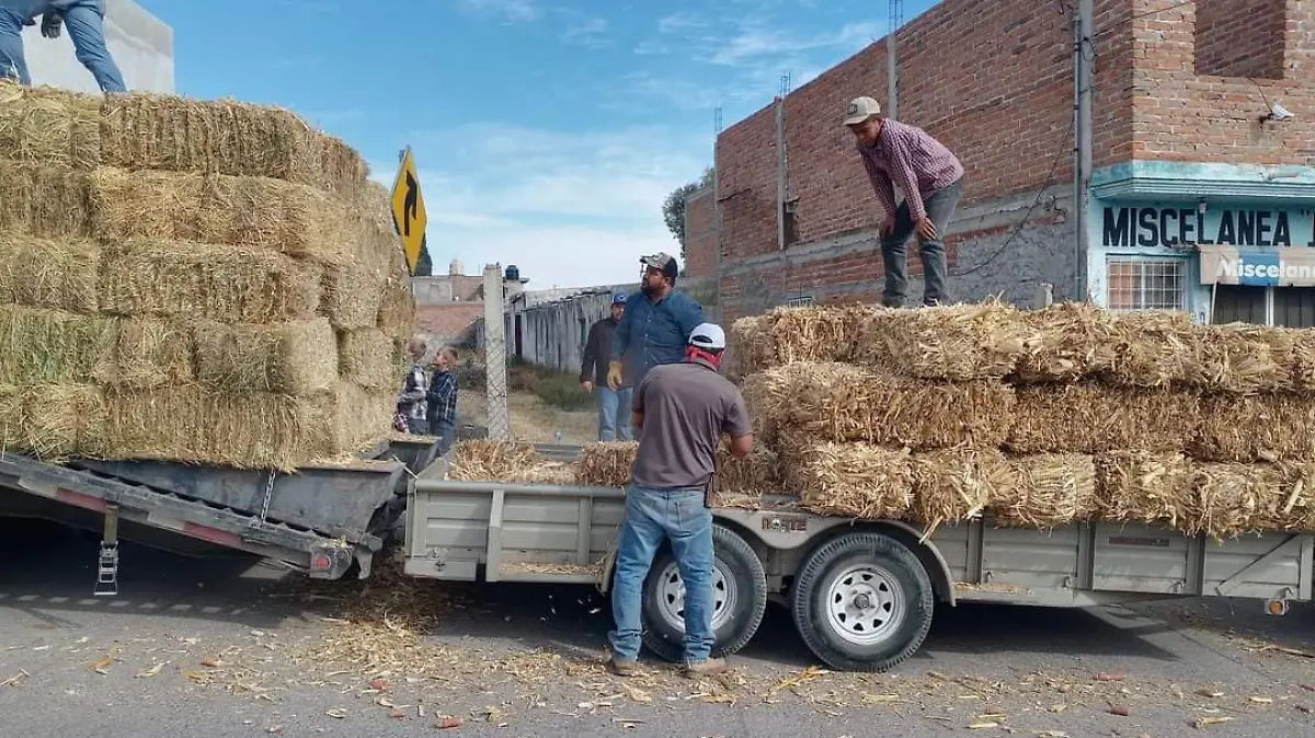 WhatsApp Image 2023-03-06 at 8.44.54 AM