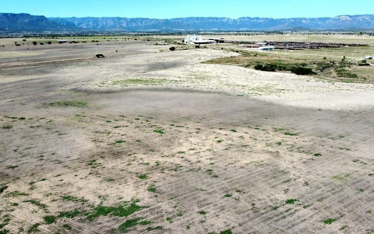 Sequía azota la entidad de Durango