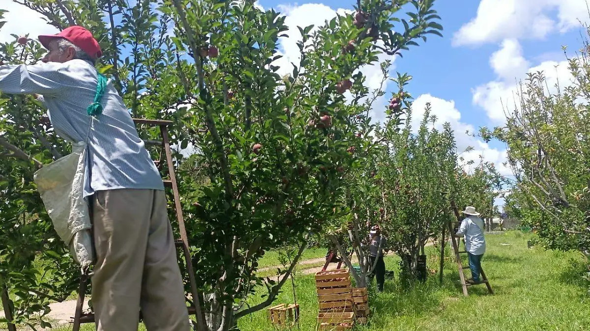 WhatsApp Image 2022-08-24 at 11.08.01 AM