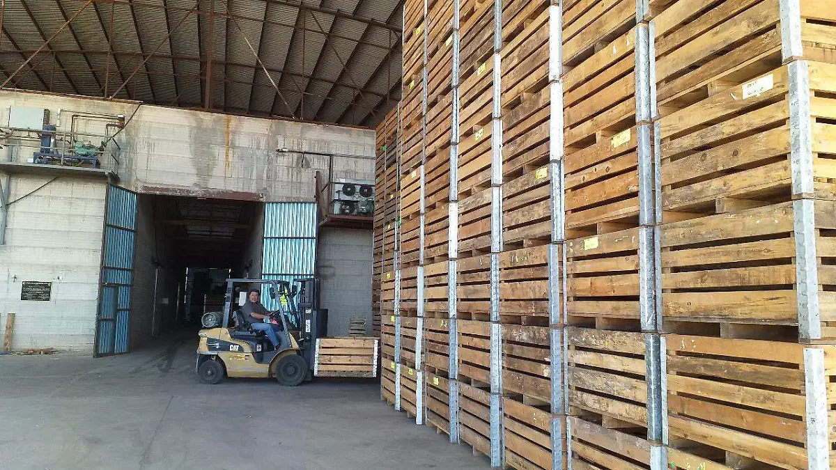 WhatsApp Image 2021-09-20 at 9.09.48 AM