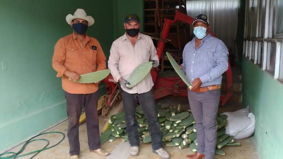 WhatsApp Image 2020-08-22 at 6.57.21 AM