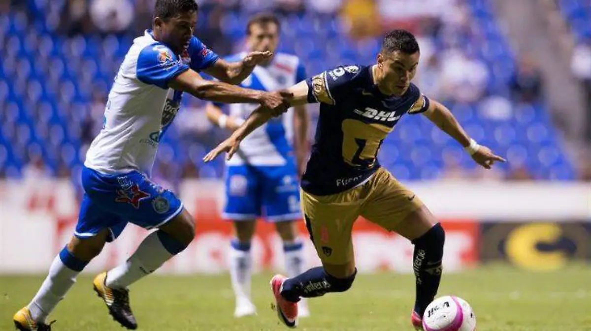 pueblapumas
