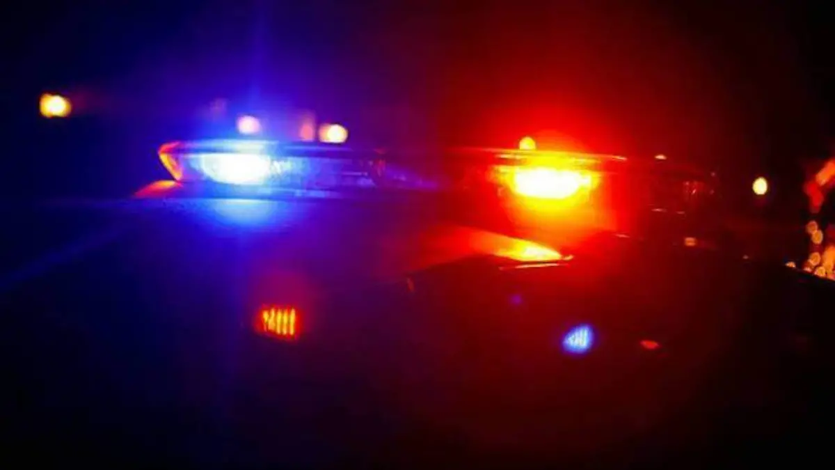 Sirena de patrulla de policía