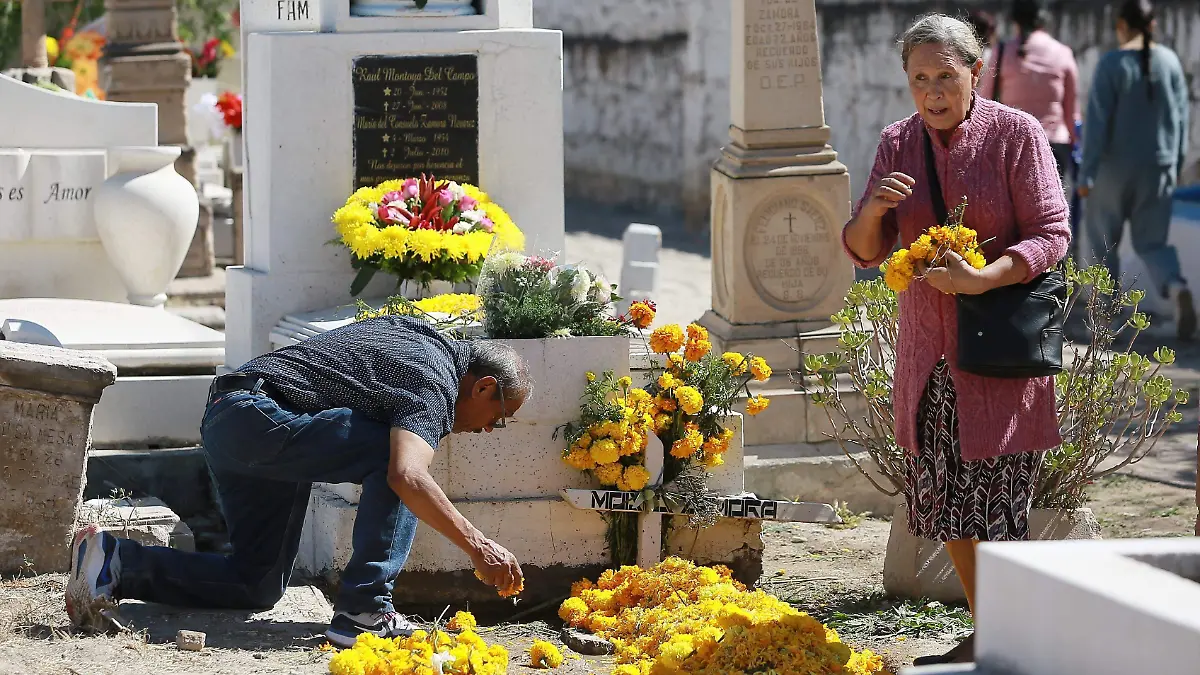 WhatsApp Image 2024-11-02 at 2.00.27 PM