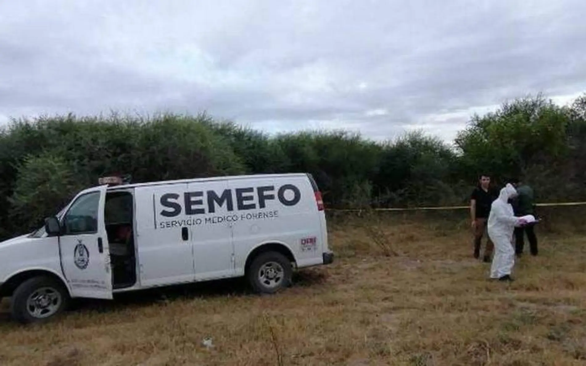 Semefo