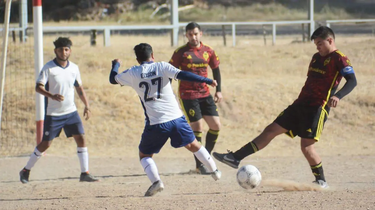 WhatsApp Image 2024-11-11 at 4.50.47 PM