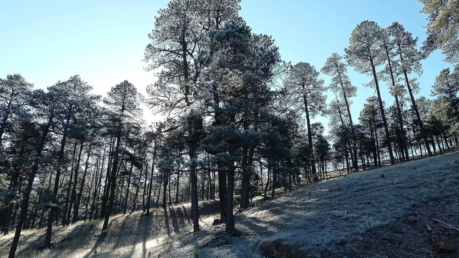 Duranguense muestra cómo es amanecer a -11 °C en la sierra de Guanaceví 