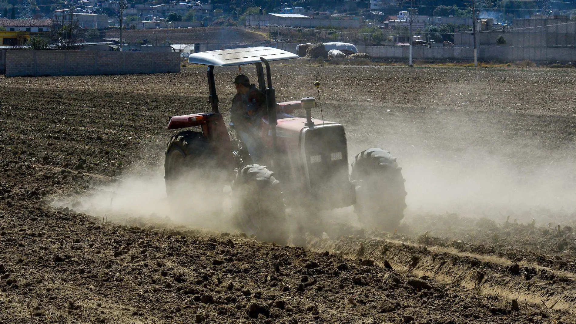 Agricultores / campesinos mexicanos 