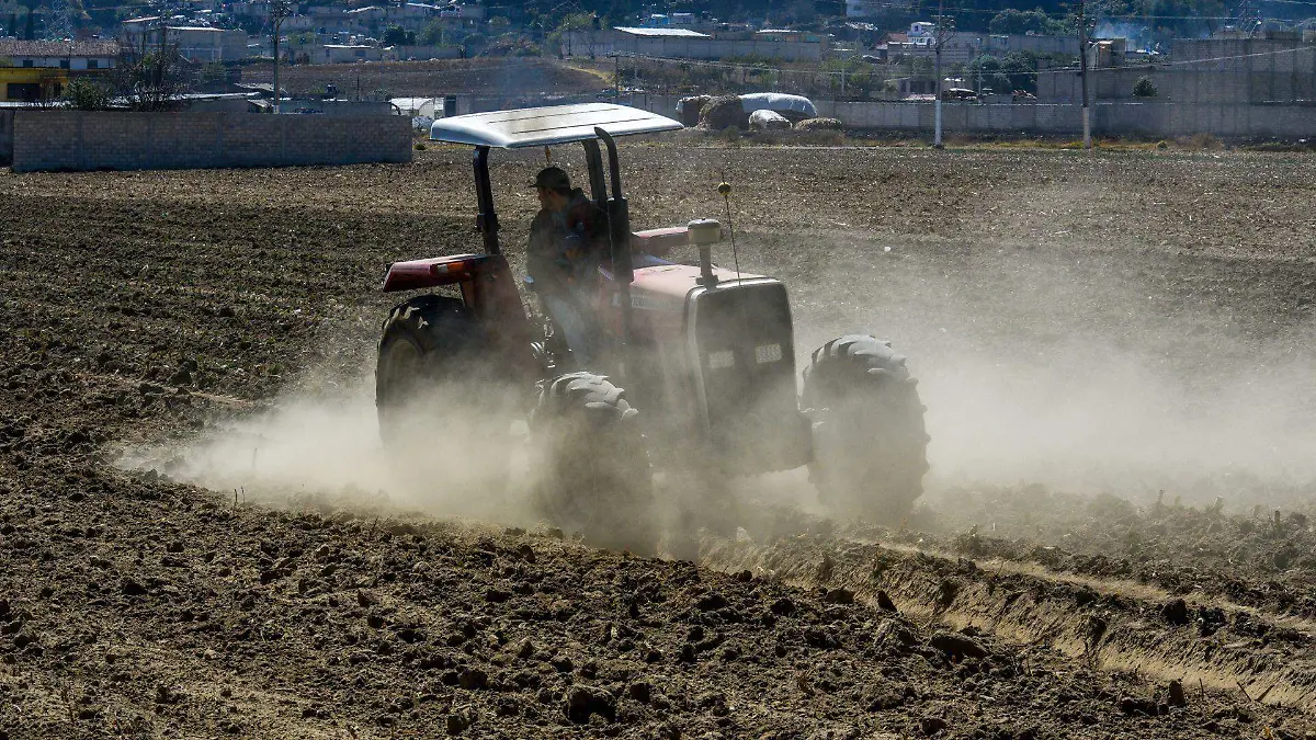 856015_Limpieza tierras cultivo -3_web